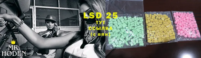 LSD-25 экстази ecstasy  где купить   Камбарка 